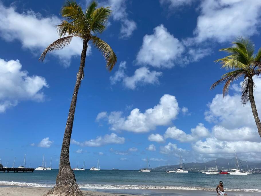 L'Amour A La Plage...Vue Mer Exceptionnelle ! Les Trois-Ilets Eksteriør billede